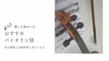 2025年最新版】ラーセン弦レビュー｜音が劇的に変わるおすすめ5